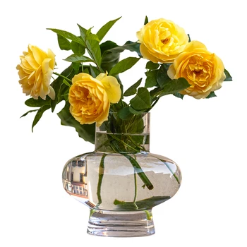 Vaza De Sticla Nordic Transparent Hidroponice Flori Artificiale Flori Uscate De Flori Vas Ornamente Living Desktop Decor