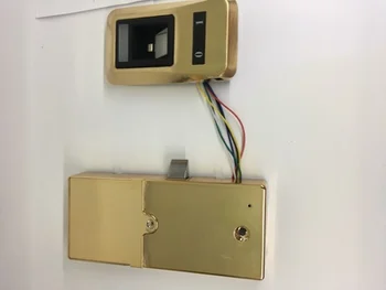 OS111F Electronice de acces fără cheie de Amprente Biometric Scoala cu Lacăt Cabinet Saună Ușă Sertar de Blocare a Alege de prelucrare a Lemnului Electrice de Aur