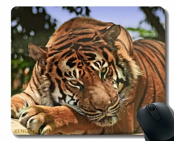 Gaming Mouse Pad Personalizat,Tigru, Prădător Bot Agresivitate Pisica De Mare 102611 Confortabil Mouse-Ul Mat Pentru Gaming Si Office