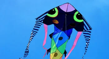 Pește colorat Zmeu Adult zmeu zmeu singură linie zmeu zbor în aer liber, grădină joc pentru copii în aer liber, jucării tridimensionale strada