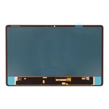 11.2 inch cu panou tactil AMOLED Pentru Lenovo Tab P11 Pro (2nd Gen) 2022 TB132FU TB138FC Ecran Tactil Digitizer Asamblare
