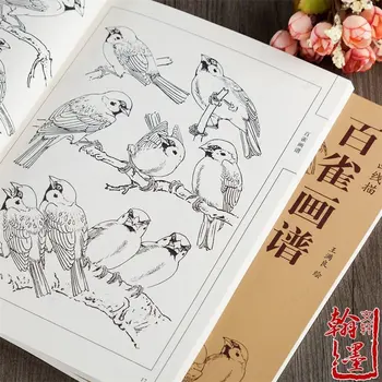 Linie chineză Desen Meticulos tehnica de pictură și Desen Linie Manuscris Sparrow și Pasăre Pictura Metoda de Carte
