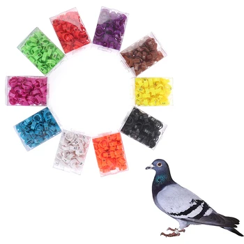 100BUC Pui Inel de Picior Reglabil Dimensiuni Păsări de curte Picior Eticheta Digitală Catarama Inel de 6 Culori de Plastic Pui de Rață Gâscă Echipamente Agricole