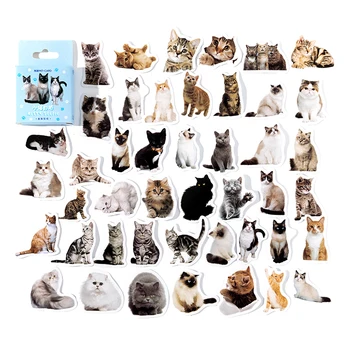 40Packs en-Gros Cat Selfie Cutie Autocolante de Desene animate de Animale desene animate manual Material Colaj Decorativ Scrapbooking Caz de telefon 4CM