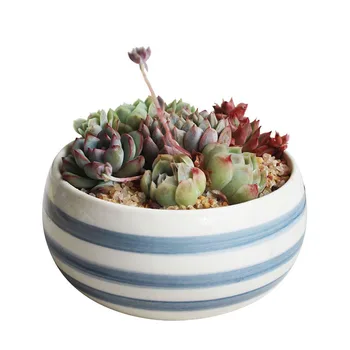 Coreeană Ins Mână Pictat Albastru Și Alb Porțelan Vaze, Plante Verzi, Ghivece Ceramice Desktop Bazinul Acasă Balcon Creative Grădinărit