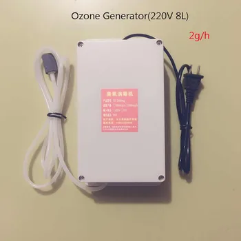 220V Aer Purificatoare de Apă Generator de Ozon 2000mg/h Ozonator/Ozonizer 8L