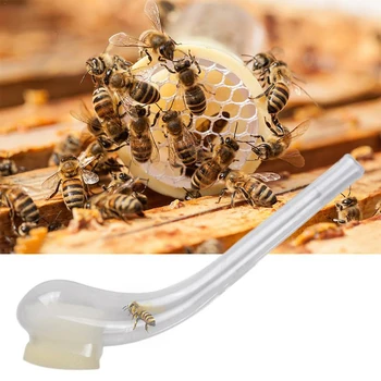 10BUC Profesionale Queen Bee King Catcher Creștere de Plastic Prinderea Tutun de Pipă, Priosn Celule Tip Cutie Cuști Albine Instrumente de Izolare